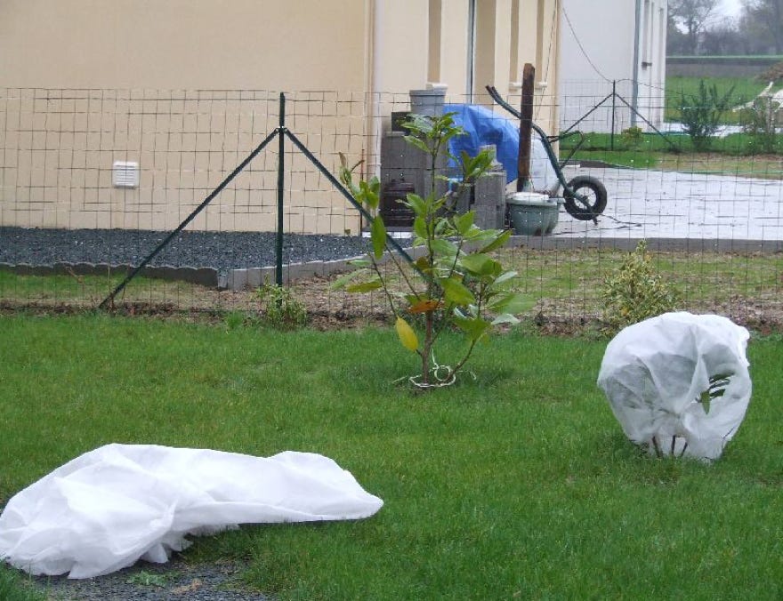 Quand tout est à faire. Pouce Pousse s’occupe de tout.